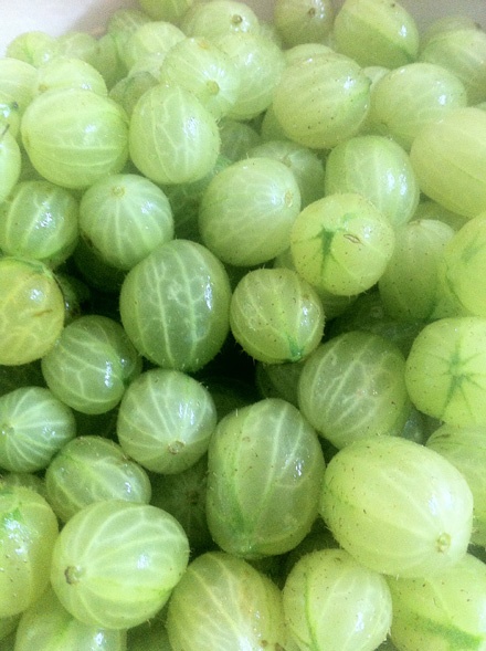 Gooseberries