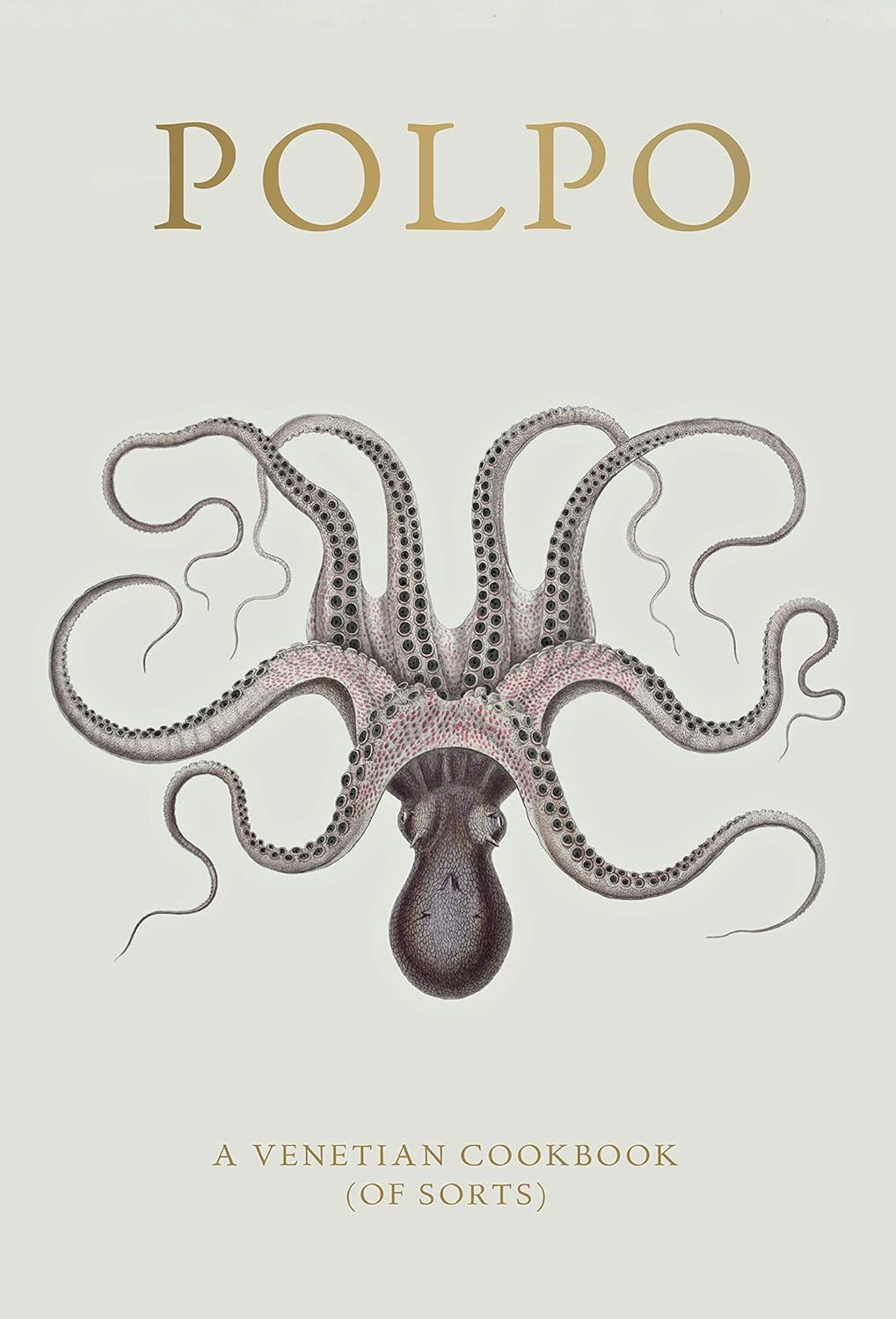 Book cover of Polpo by Russell Norman